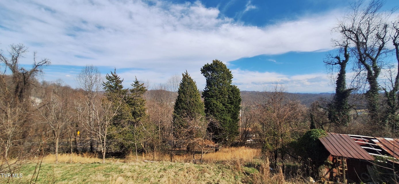 Photo #43: 4197 Skyland Drive