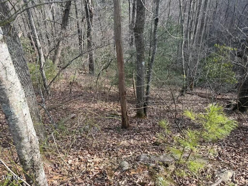 Photo #4: Tbd Banjo Ridge Road