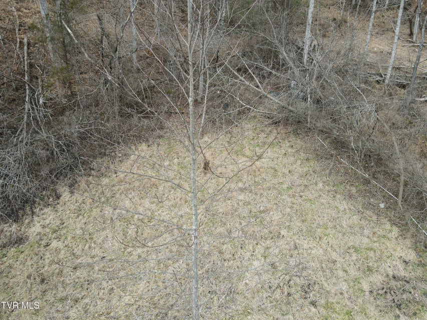 Photo #39: 324 Ocoonita Road