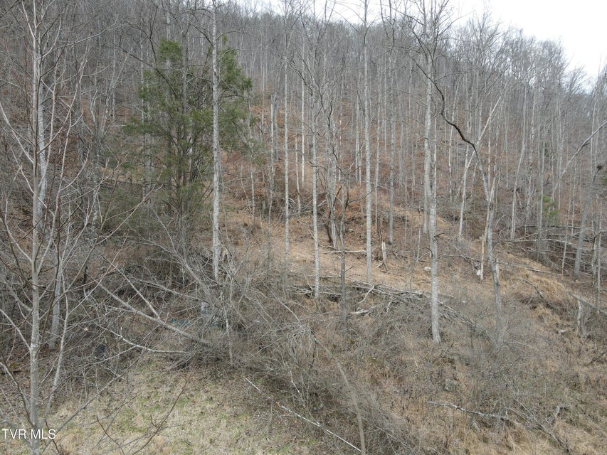 Photo #40: 324 Ocoonita Road