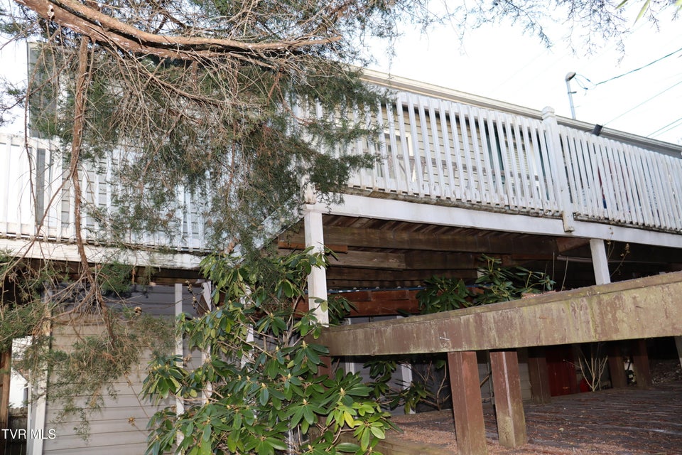 Photo #49: 127 Brown Street