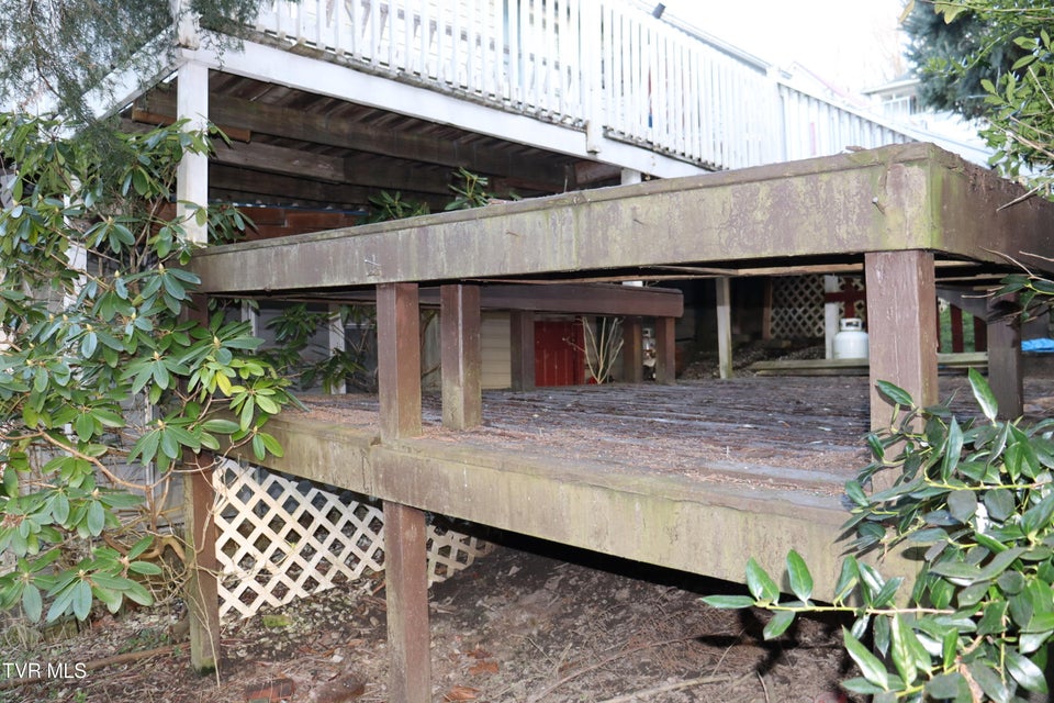 Photo #50: 127 Brown Street