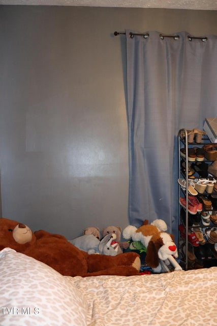 Photo #12: 127 Brown Street