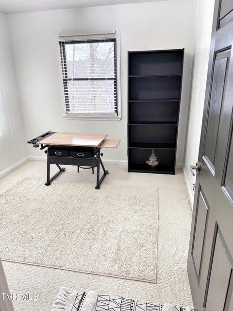 Photo #34: 338 Chalet Drive