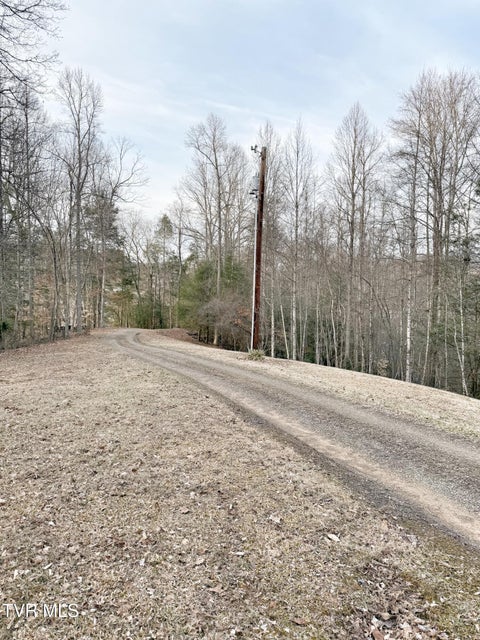 Photo #52: 338 Chalet Drive