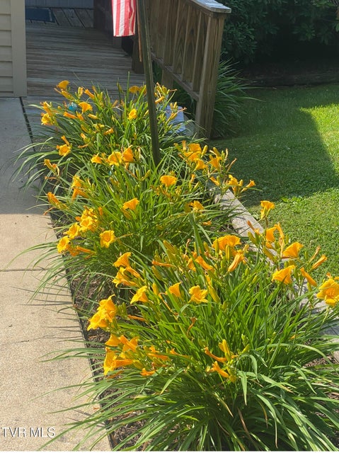 Photo #39: 1458 Shipley Ferry Road