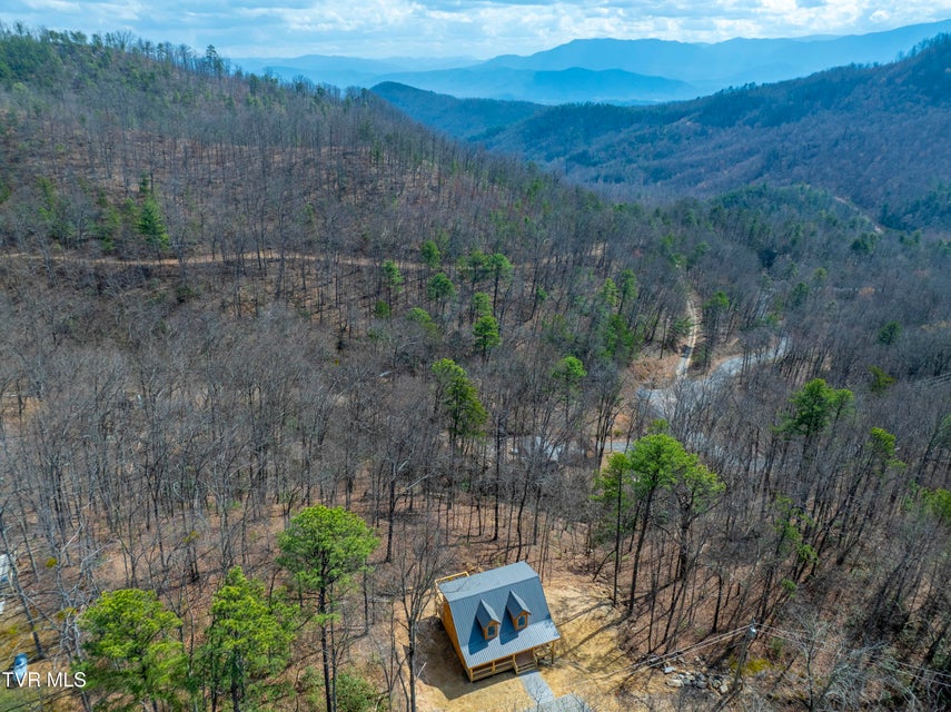 Photo #42: 954 Glasgow Street