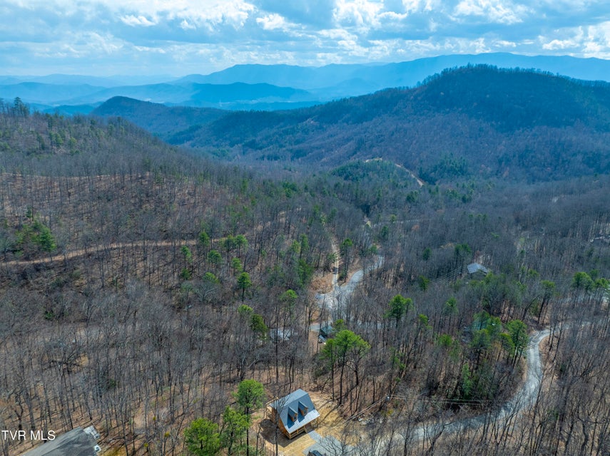 Photo #5: 954 Glasgow Street