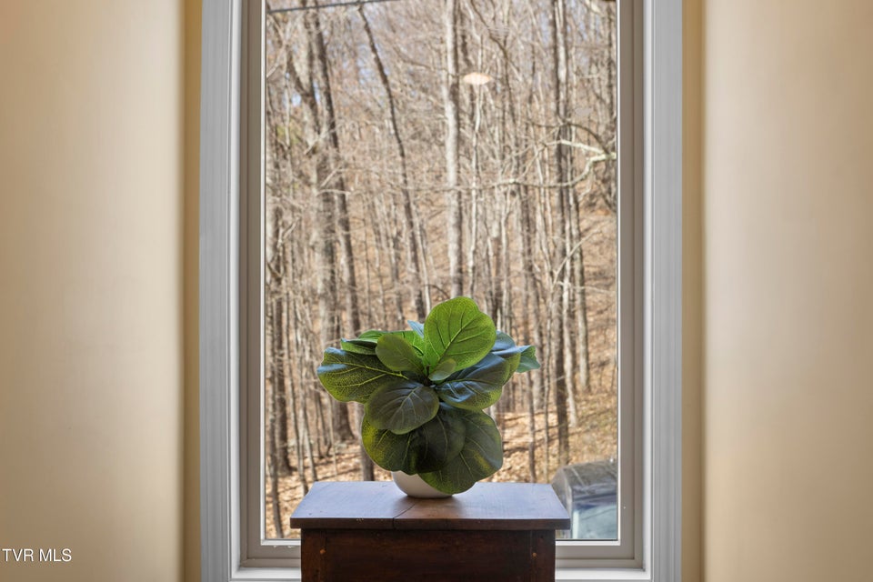 Photo #24: 954 Glasgow Street