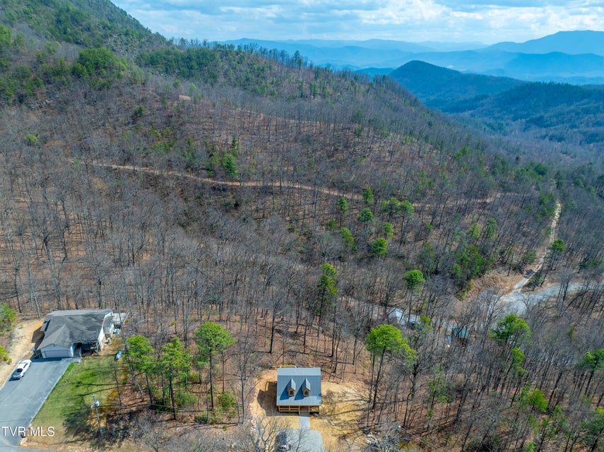 Photo #45: 954 Glasgow Street