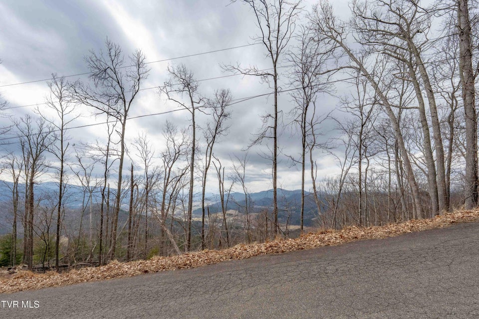 Photo #4: Lot #26 Iroquois Road