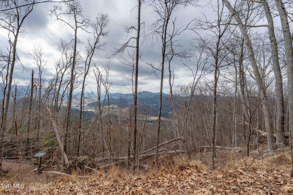 Photo #3: Lot #26 Iroquois Road