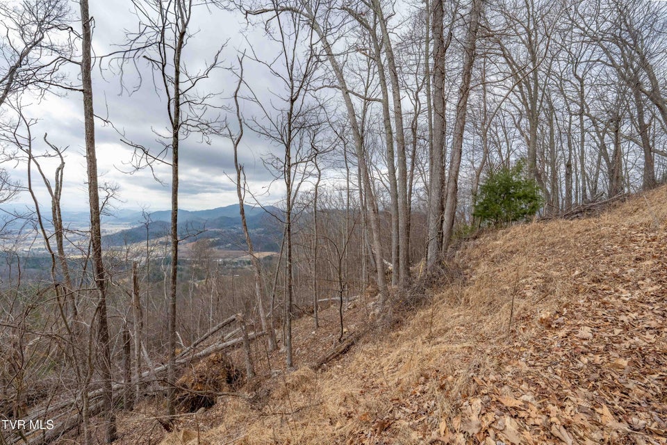 Photo #14: Lot #26 Iroquois Road