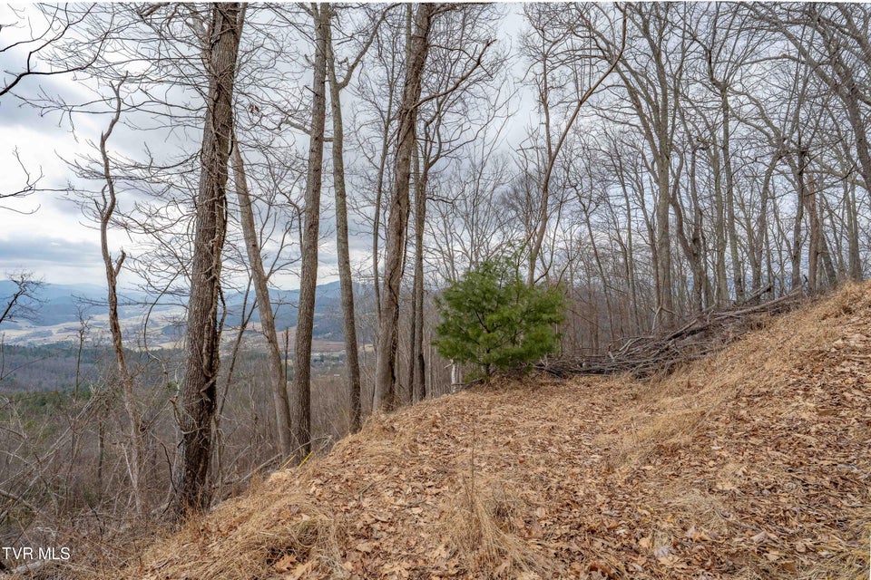 Photo #15: Lot #26 Iroquois Road
