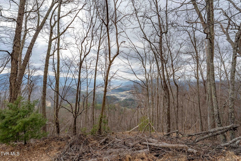 Photo #16: Lot #26 Iroquois Road