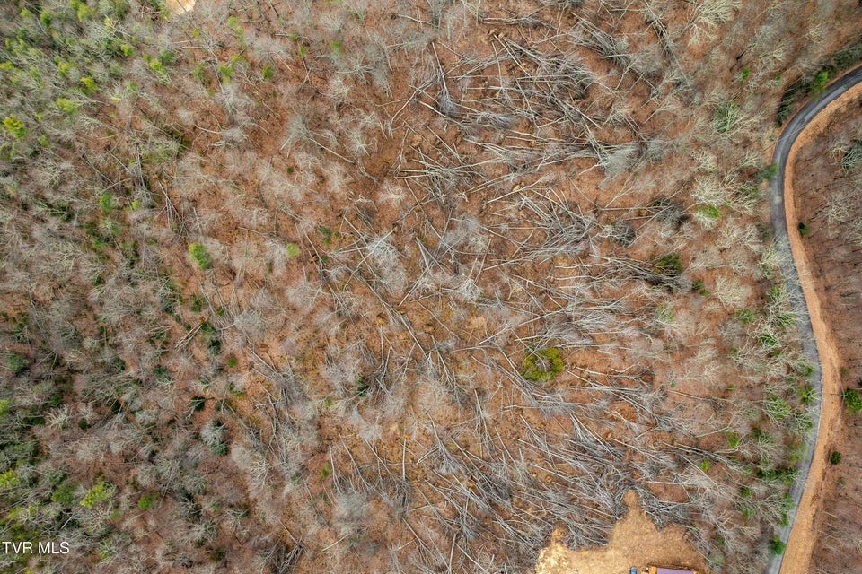 Photo #6: R-6 Callalantee Drive