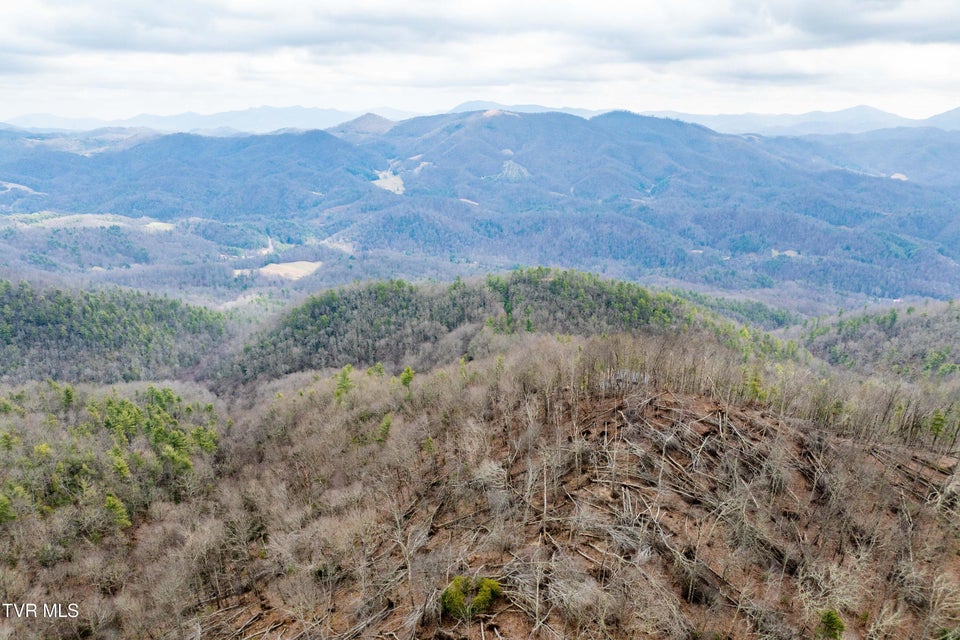 Photo #14: R-6 Callalantee Drive