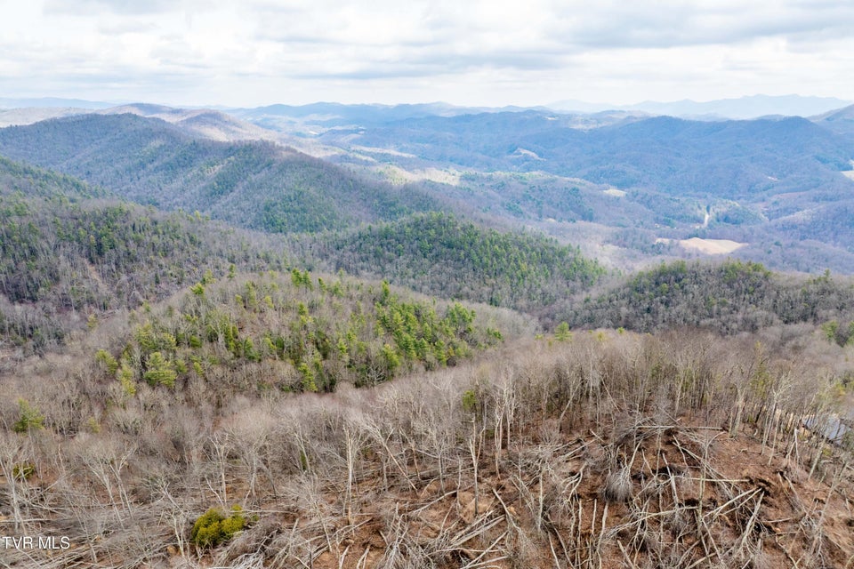 Photo #4: R-6 Callalantee Drive