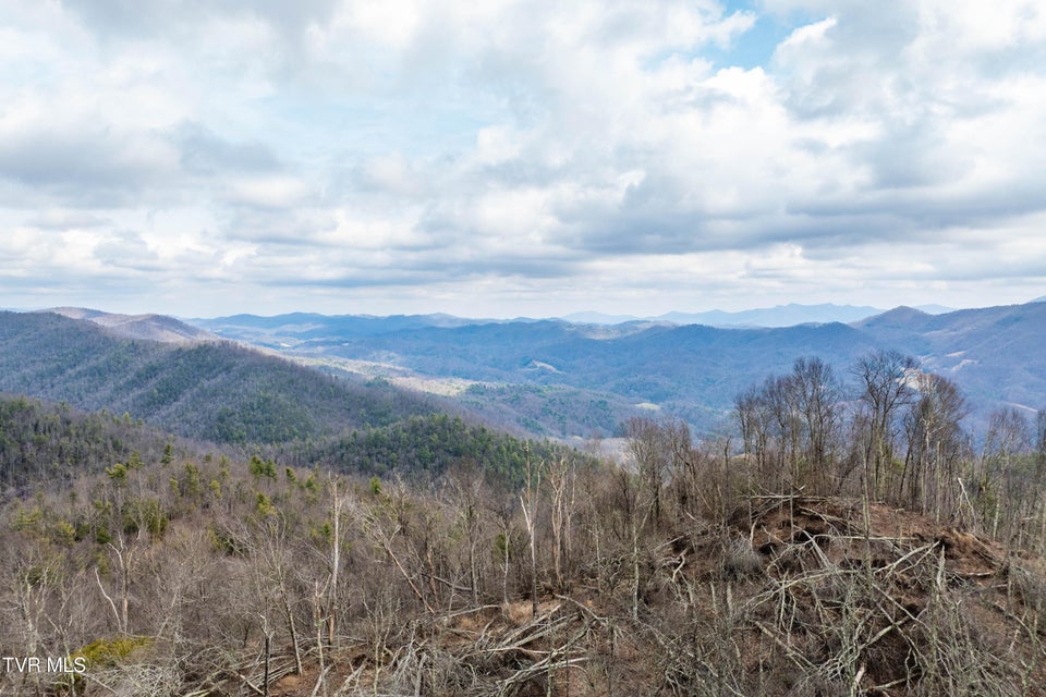 Photo #15: R-6 Callalantee Drive