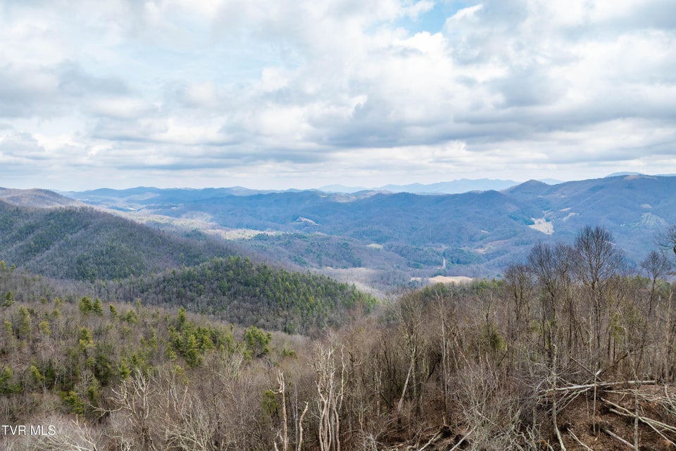 Photo #16: R-6 Callalantee Drive