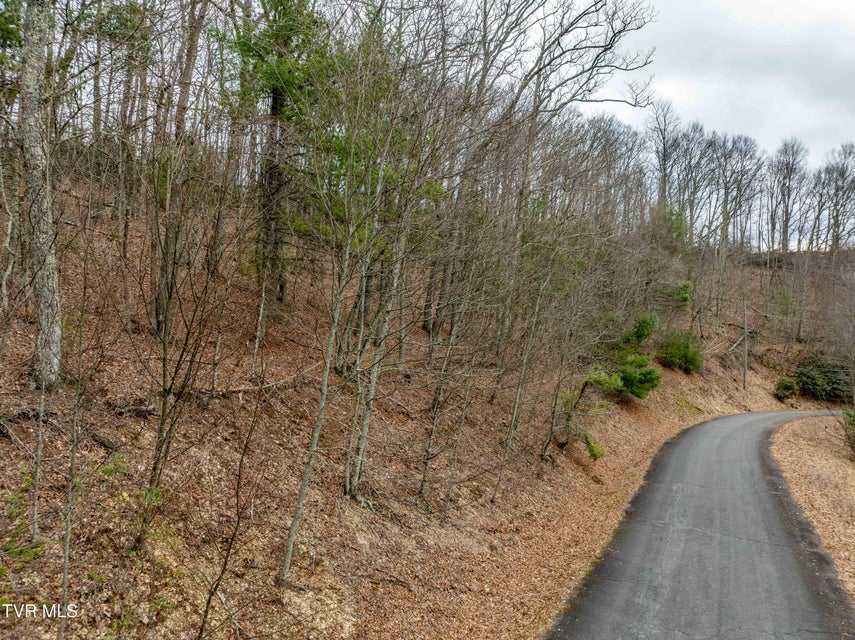 Photo #2: R-6 Callalantee Drive