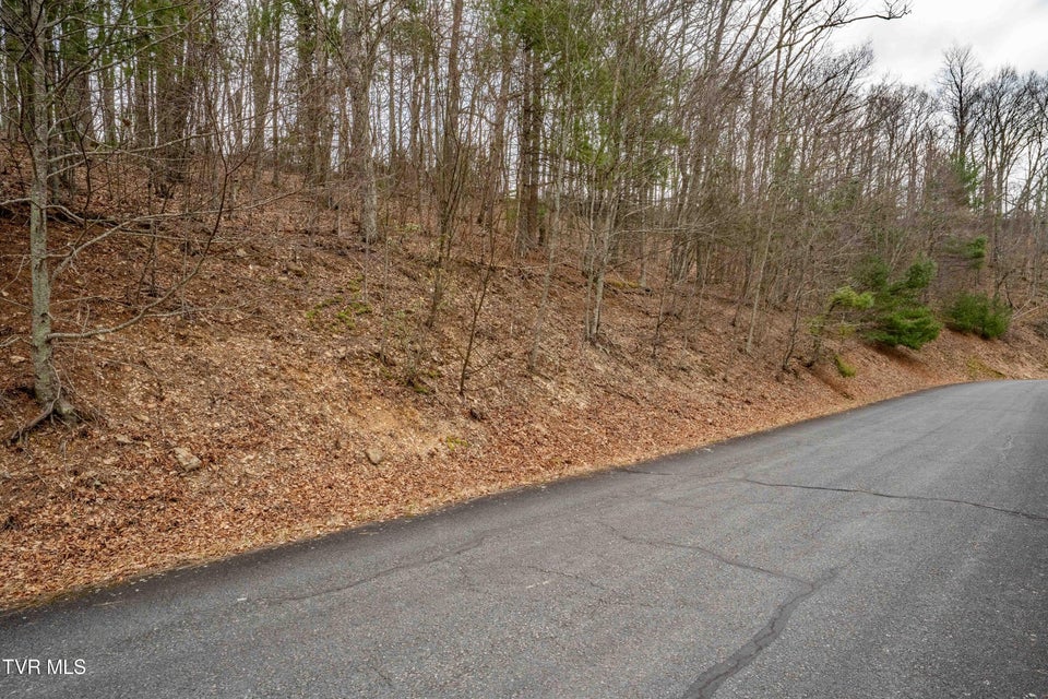 Photo #18: R-6 Callalantee Drive