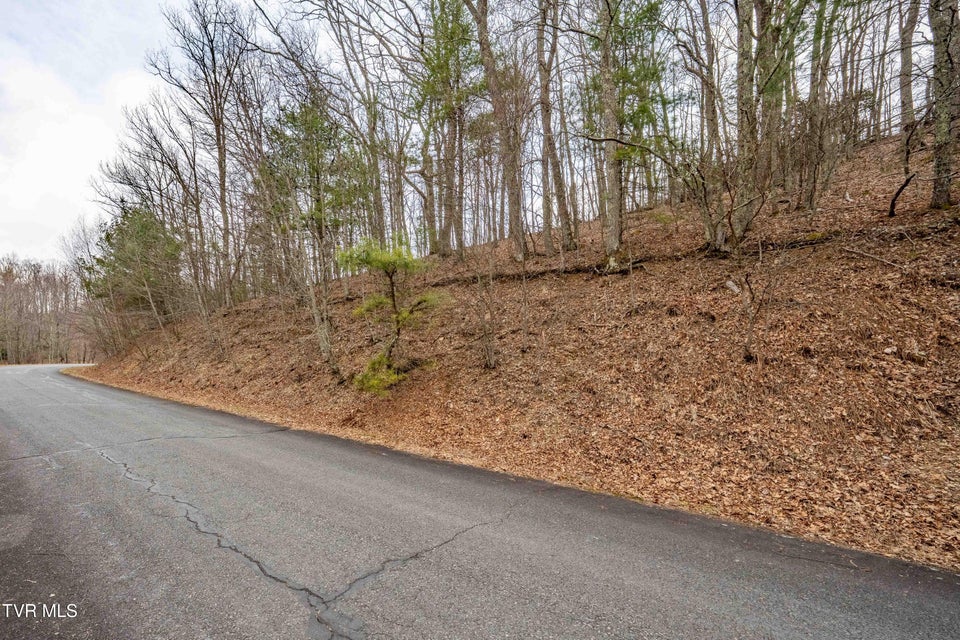 Photo #19: R-6 Callalantee Drive