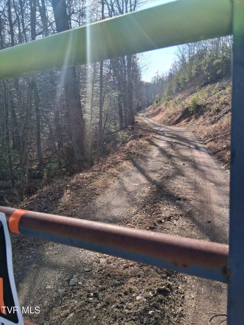 Photo #4: Tbd Gullion Fork Road