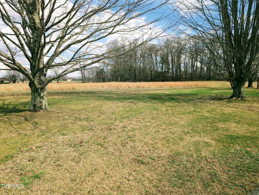 Photo #6: 8491 Doctor Ralph Stanley Highway