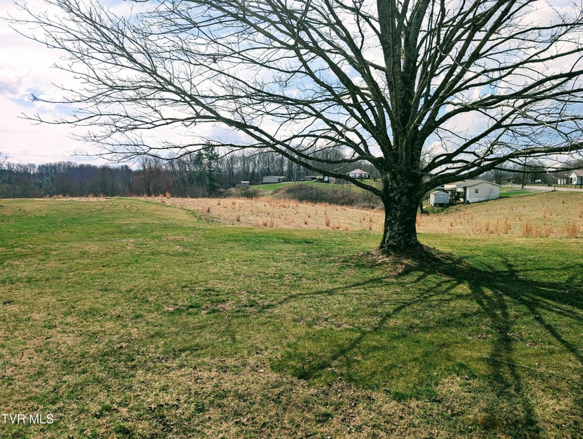 Photo #7: 8491 Doctor Ralph Stanley Highway