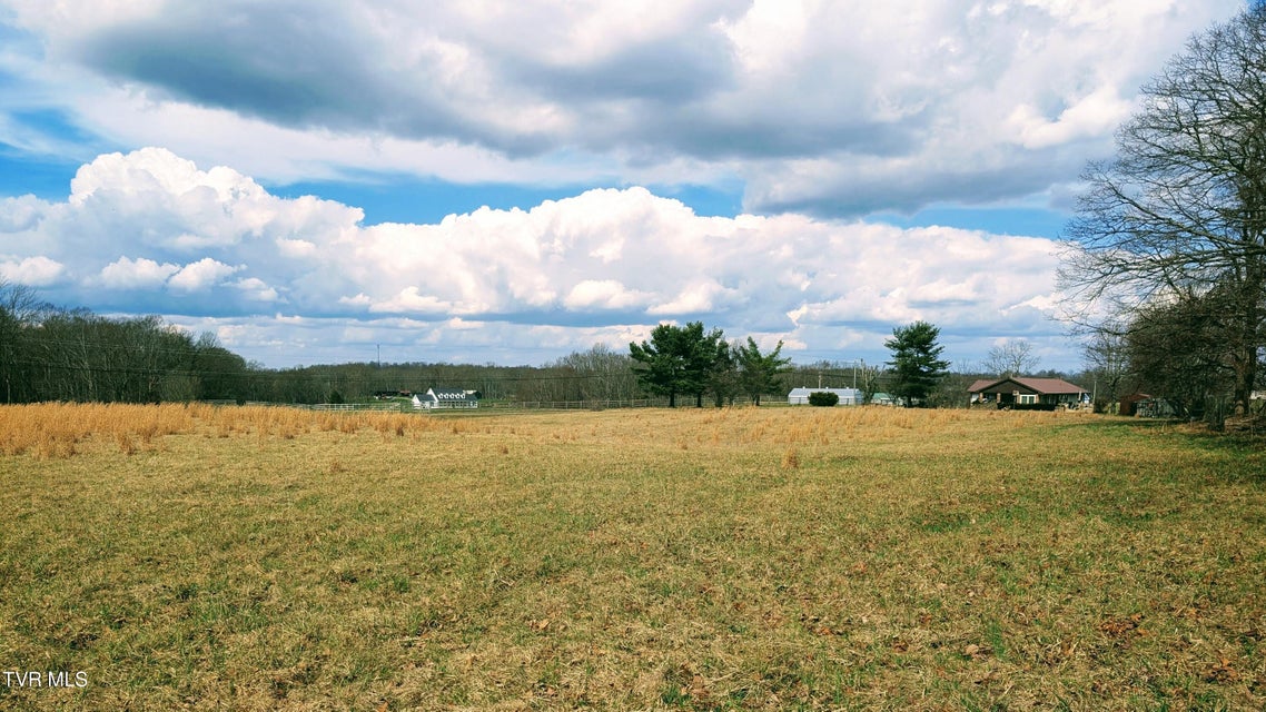 Photo #8: 8491 Doctor Ralph Stanley Highway