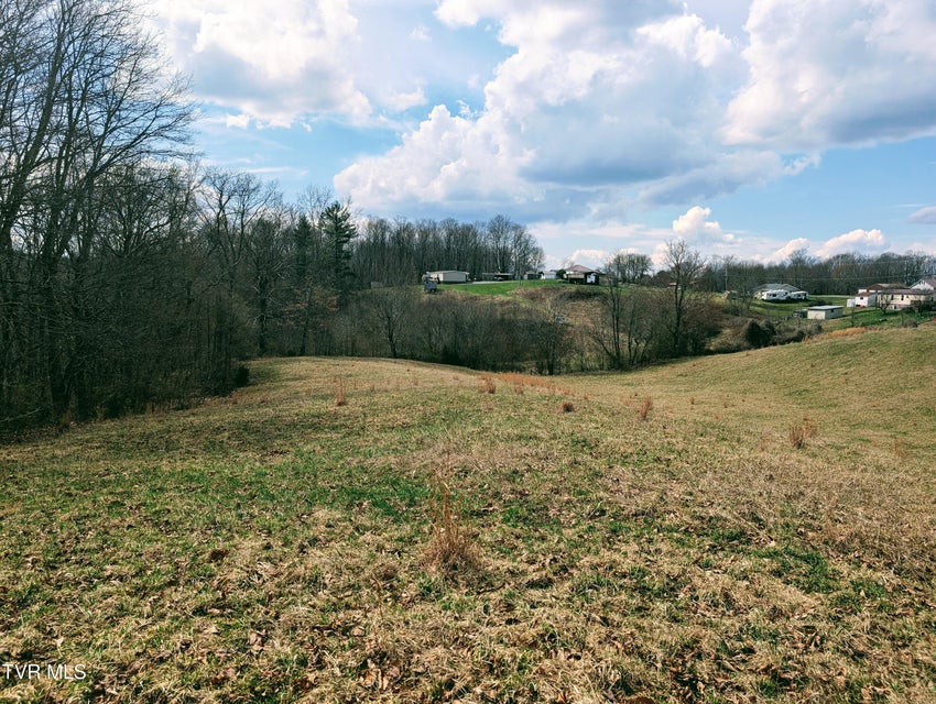 Photo #11: 8491 Doctor Ralph Stanley Highway