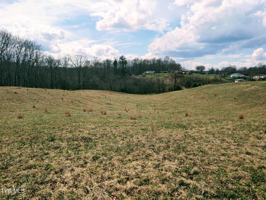 Photo #13: 8491 Doctor Ralph Stanley Highway