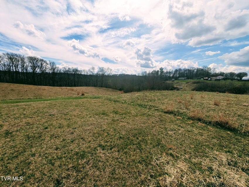 Photo #15: 8491 Doctor Ralph Stanley Highway