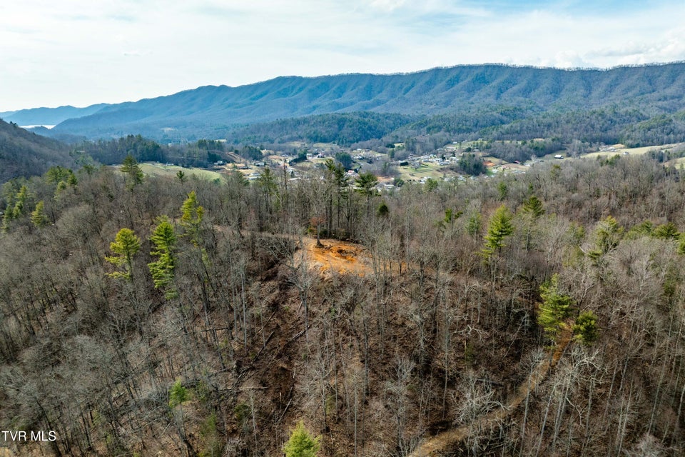 Photo #10: Tbd Mountain Wynd Drive