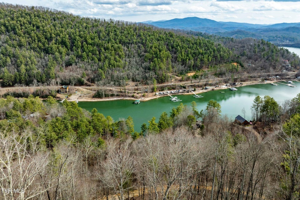 Photo #13: Tbd Mountain Wynd Drive