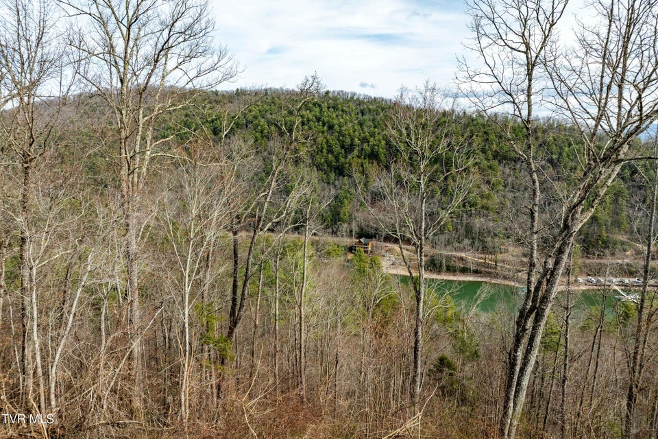 Photo #15: Tbd Mountain Wynd Drive