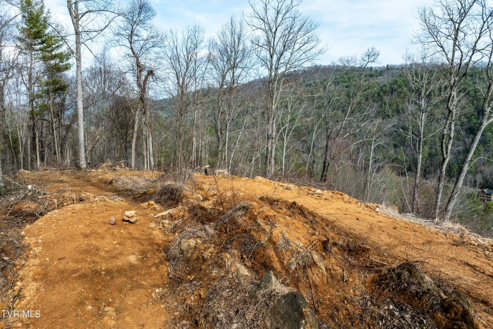 Photo #17: Tbd Mountain Wynd Drive