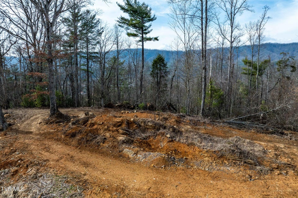 Photo #18: Tbd Mountain Wynd Drive