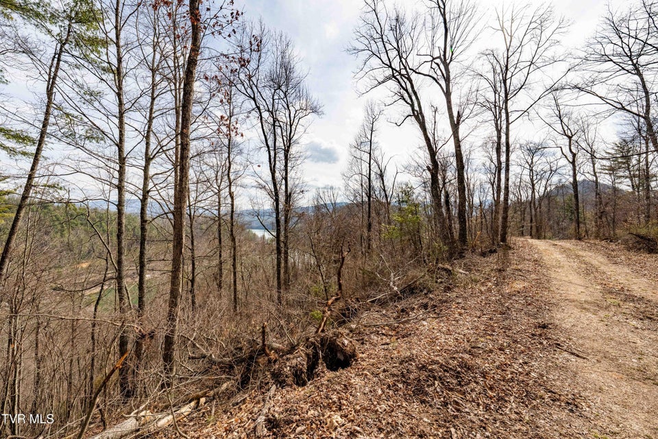 Photo #21: Tbd Mountain Wynd Drive