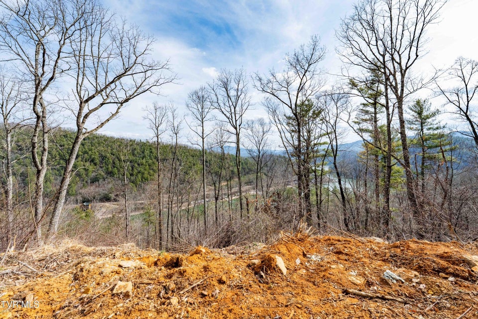 Photo #23: Tbd Mountain Wynd Drive