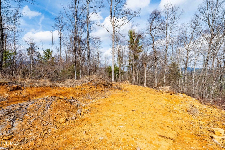 Photo #25: Tbd Mountain Wynd Drive