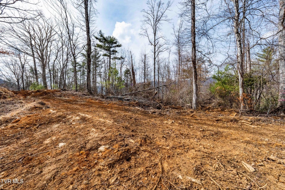 Photo #26: Tbd Mountain Wynd Drive