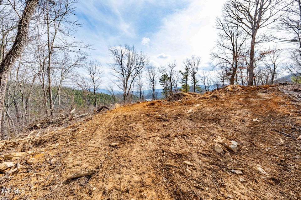 Photo #27: Tbd Mountain Wynd Drive