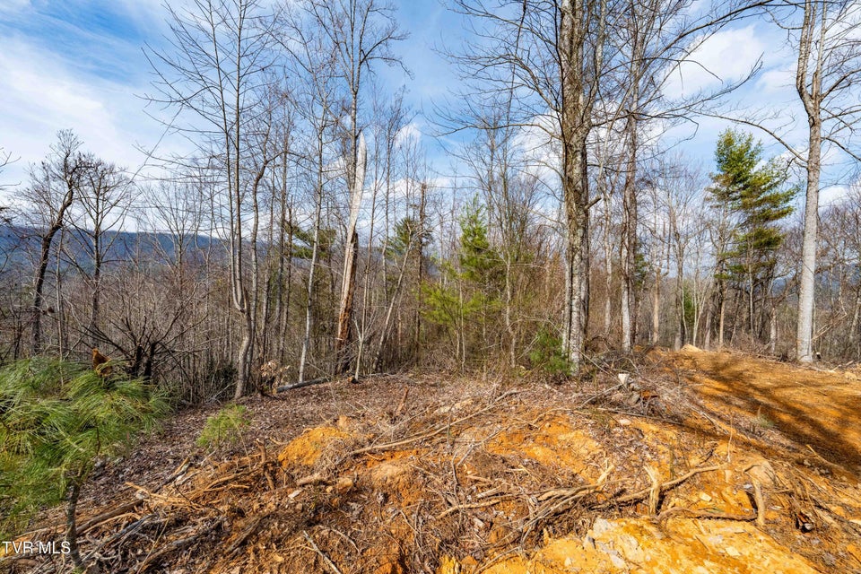 Photo #29: Tbd Mountain Wynd Drive