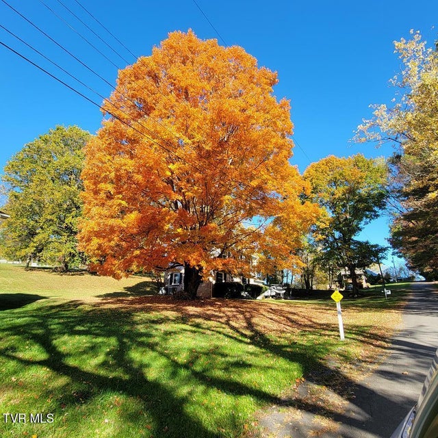 Photo #69: 12104 Linden Street