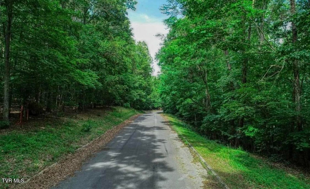 Photo #5: Lot 55 Brooks Pointe Drive