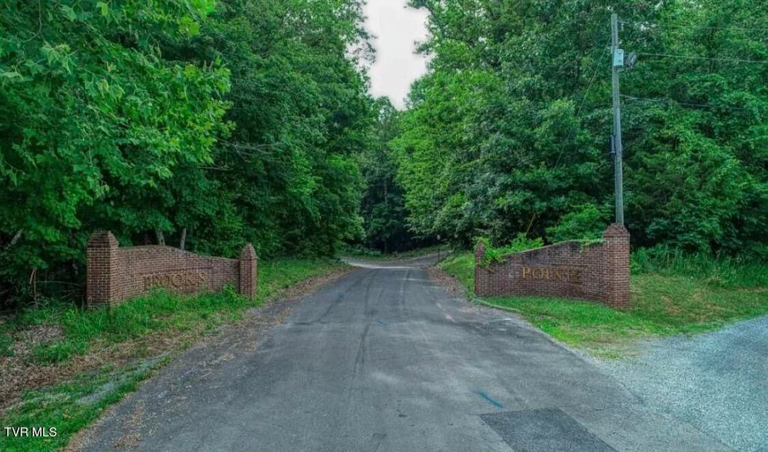 Photo #6: Lot 55 Brooks Pointe Drive