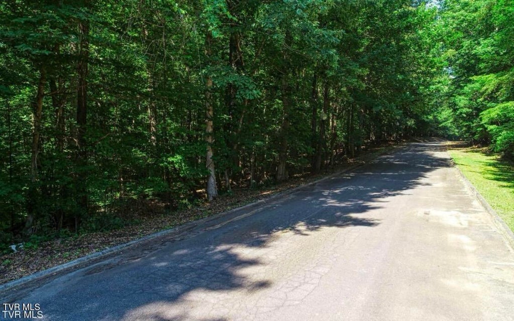 Photo #8: Lot 55 Brooks Pointe Drive