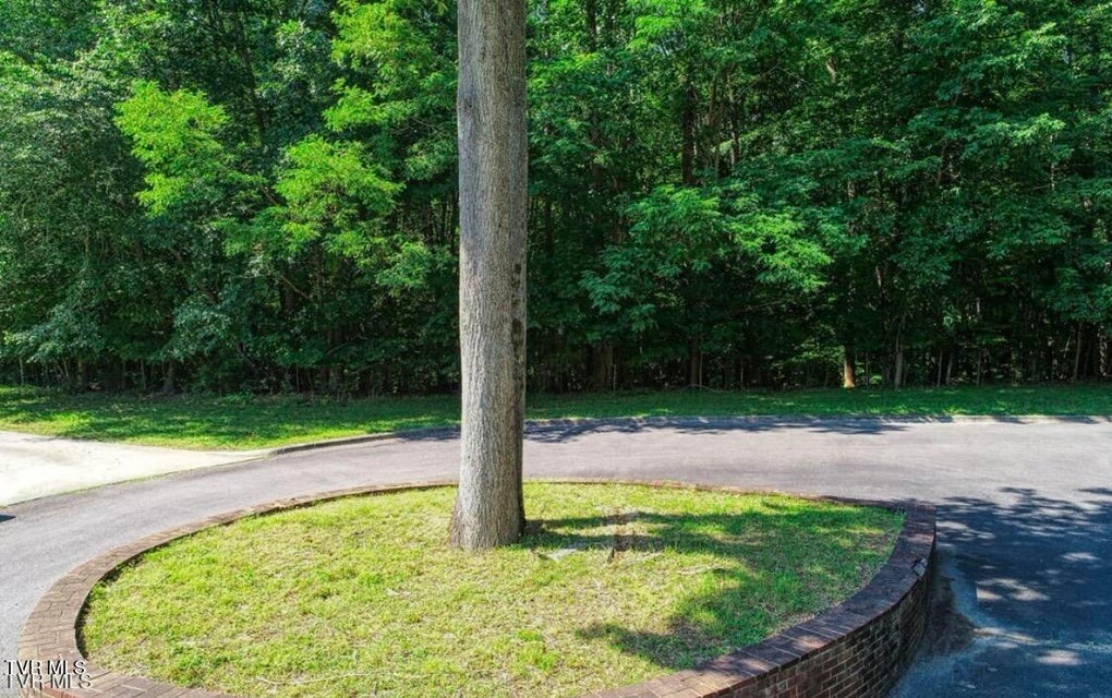 Photo #10: Lot 55 Brooks Pointe Drive